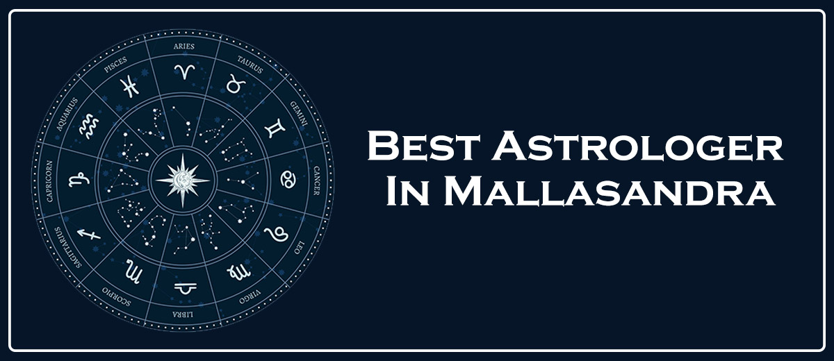 Best Astrologer In Mallasandra